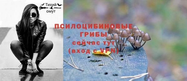 ALPHA PVP Алексеевка